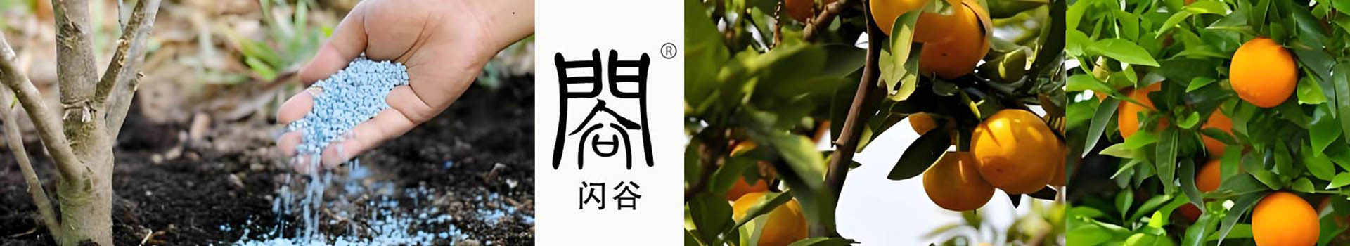 效果案例