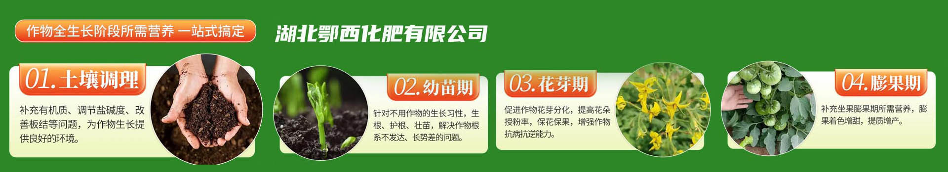 公司产品