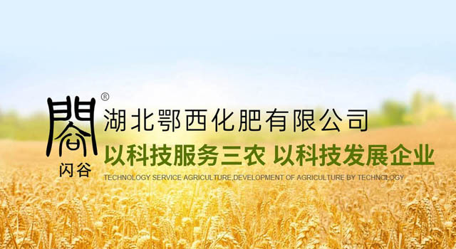 手机幻灯片2